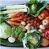 Fruit and Veg Box