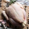 Whole Free Range Chicken
